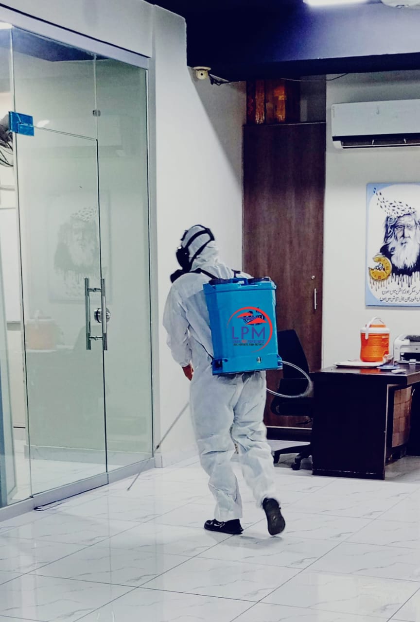 Home whatsapp image 2025 07 10 at 19.50.08 (1)