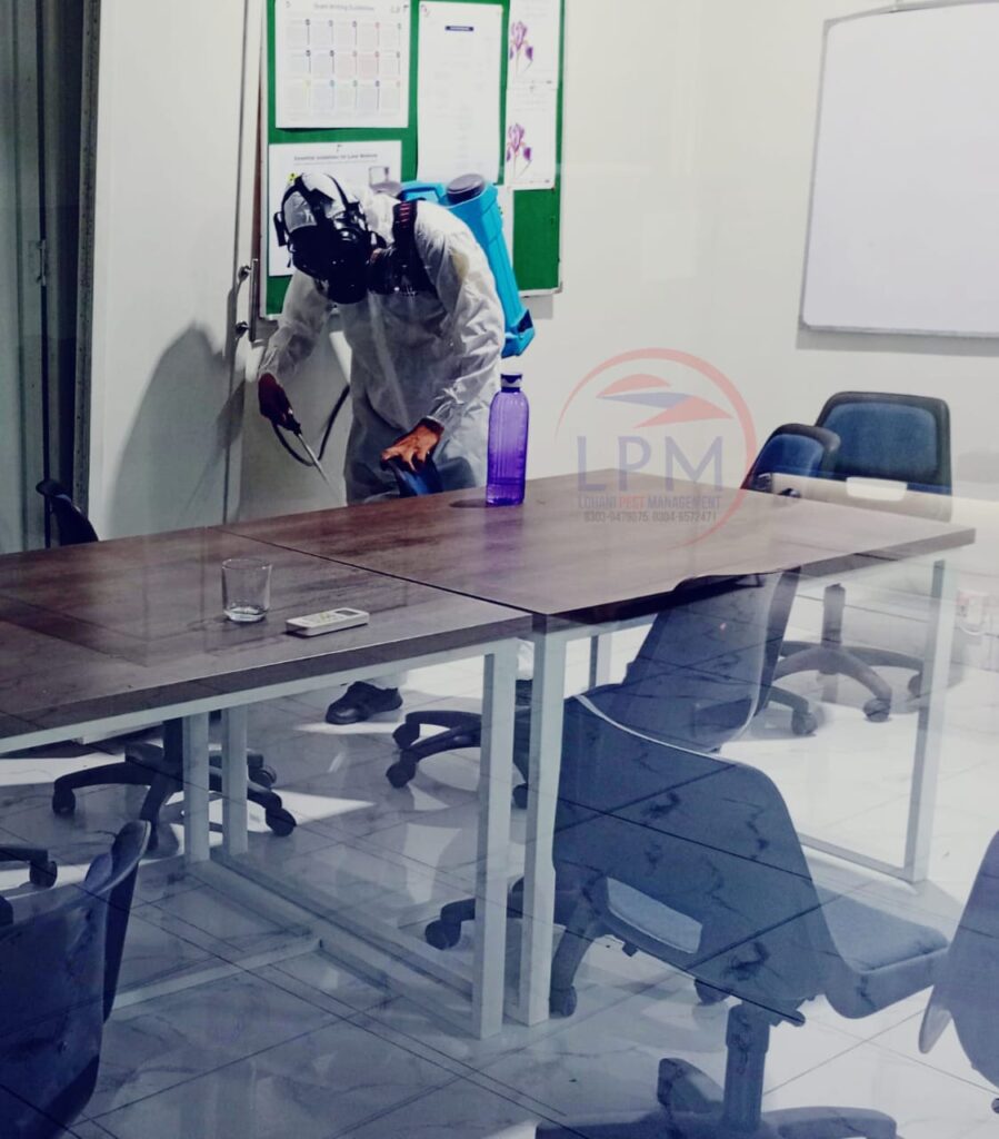 gas-pipeline whatsapp image 2025 07 10 at 19.50.08